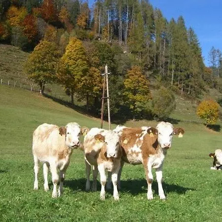 Obersinnlehenhof Apartman