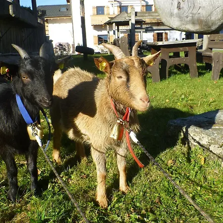 דירה Obersinnlehenhof