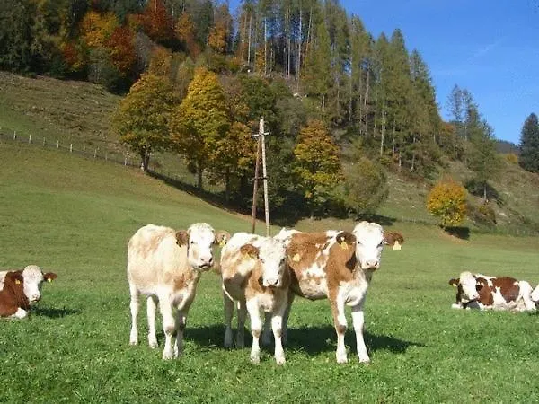 Obersinnlehenhof Διαμέρισμα