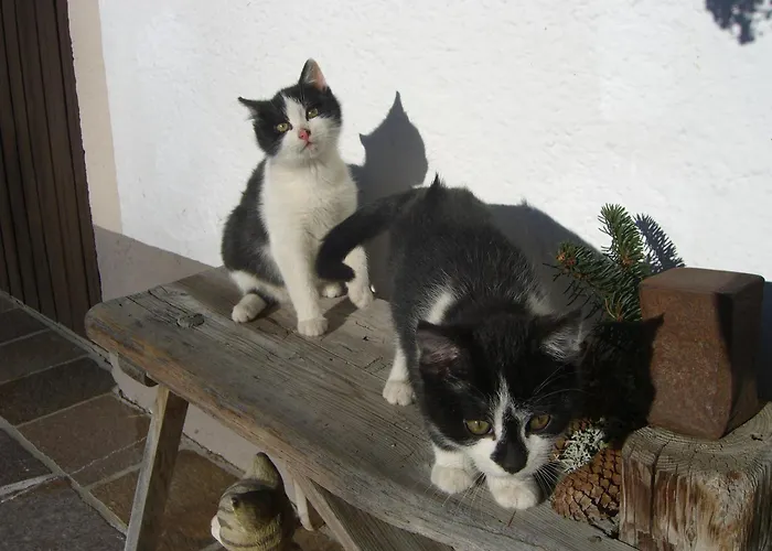 Obersinnlehenhof * Maishofen