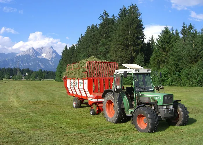 Obersinnlehenhof Διαμέρισμα *