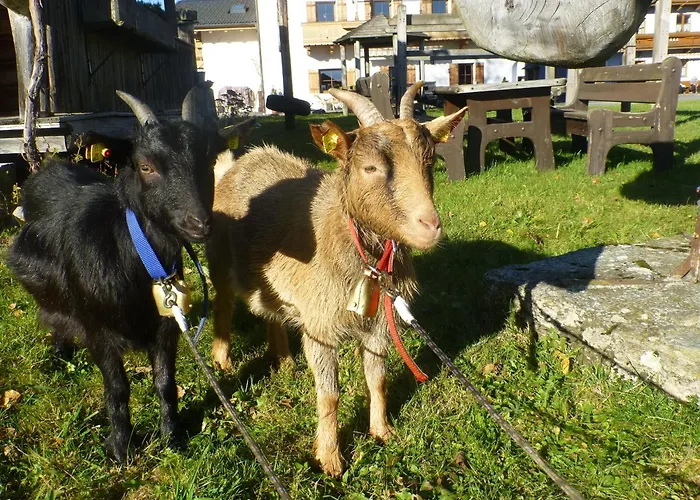 Διαμέρισμα Obersinnlehenhof