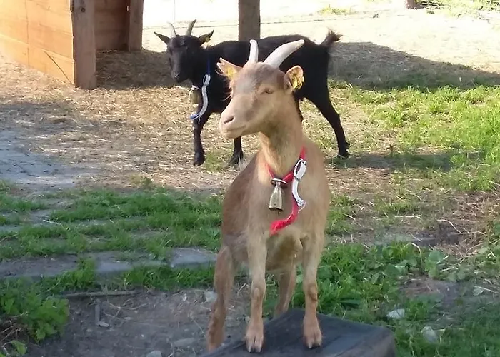 Διαμέρισμα Obersinnlehenhof